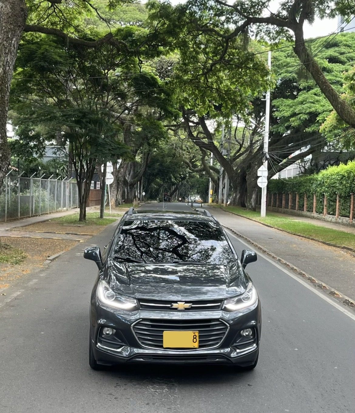 Tracker de frente en una calle arborizada